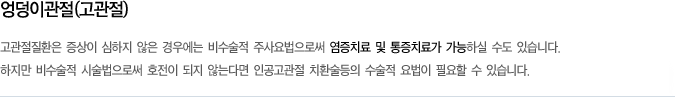 엉덩이관절(고관절)