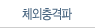 체외충격파